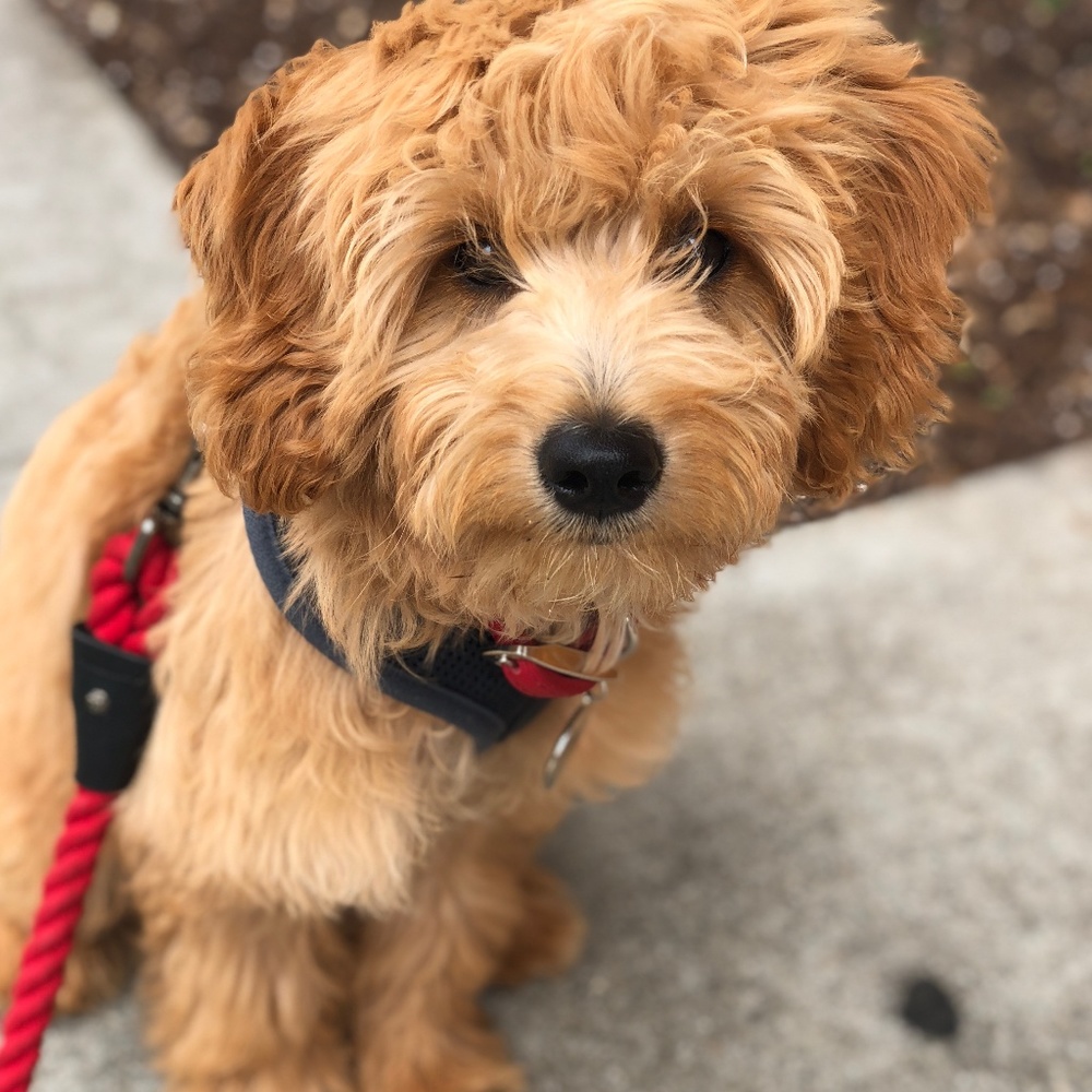 Meet your Posher, Beverly